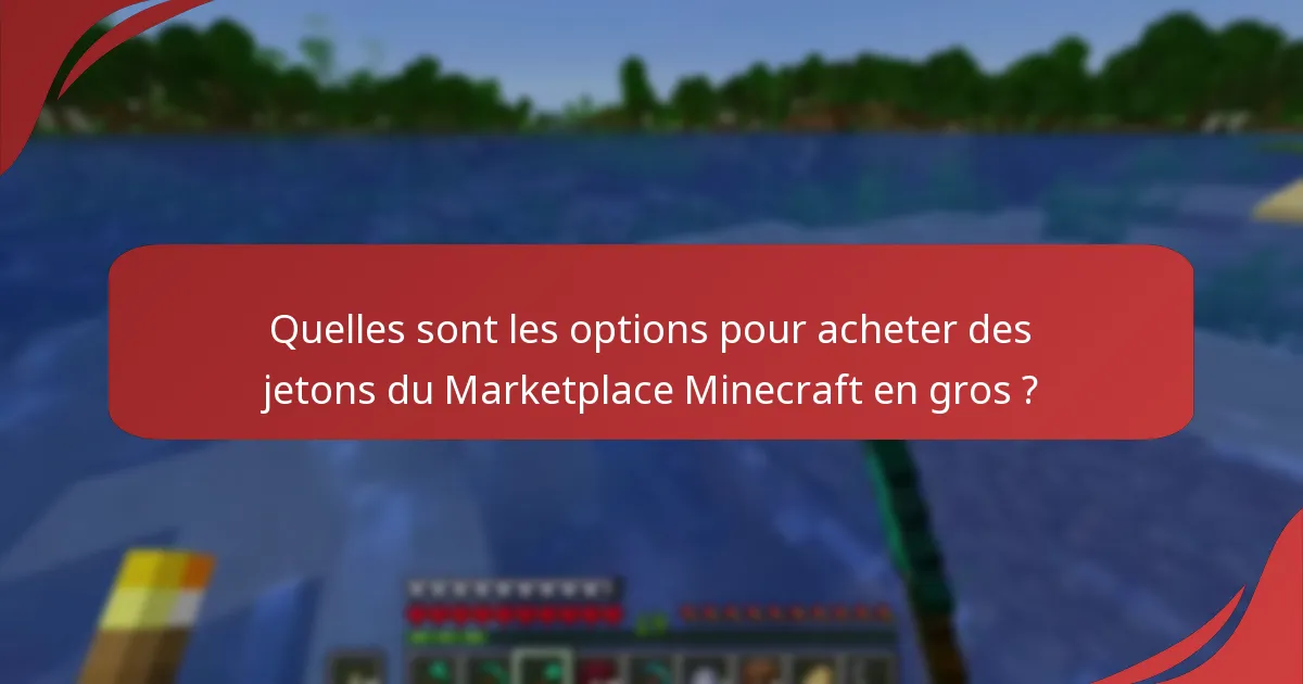 Quelles sont les options pour acheter des jetons du Marketplace Minecraft en gros ?