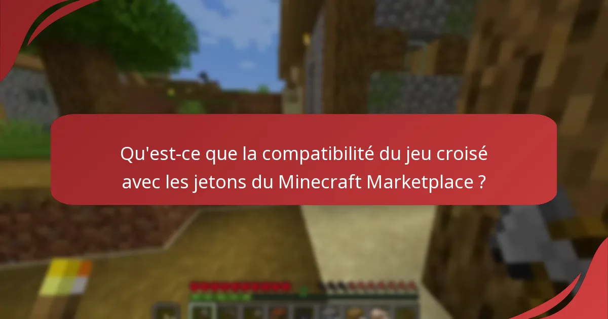 Qu'est-ce que la compatibilité du jeu croisé avec les jetons du Minecraft Marketplace ?